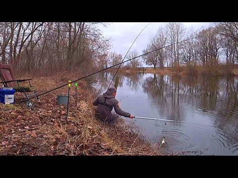 ВУДКИ ТРІЩАТЬ ВІД ВЕЛИКОЇ РИБИ. Рибалка на Фідер весною