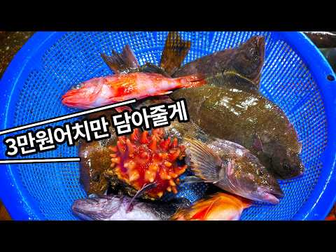 I tried bargaining at a tourist fish market, pretending to be a beginner! What was the result?