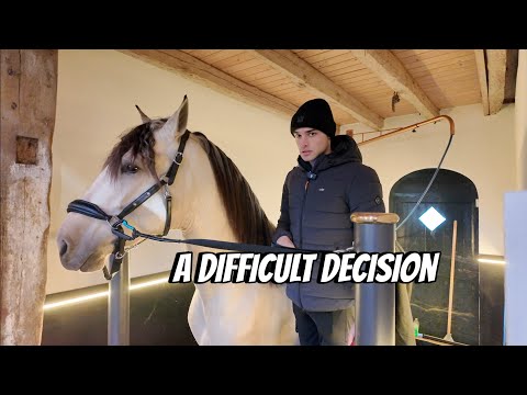 Taking The Next Step With My New Horse