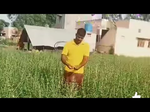 விவசாயி