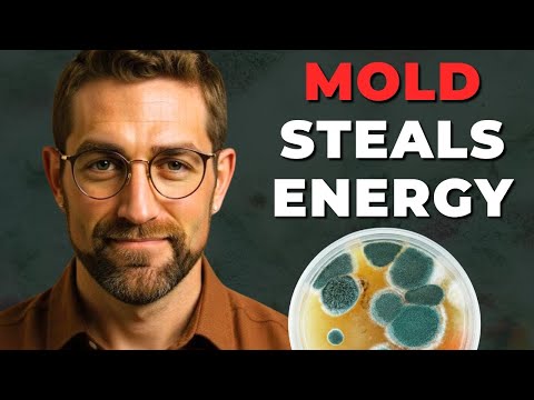 Mold and Mitochondria: The Overlooked Link Behind Low Energy