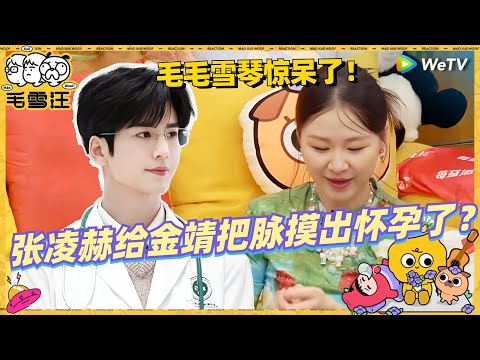 【EP99抢先看】金靖回应张凌赫把脉摸出怀孕了！毛毛雪琴一整个呆住！ |《毛雪汪》EP99 CLIP #综艺 #金靖 #刘胜瑛 #李雪琴 #毛不易