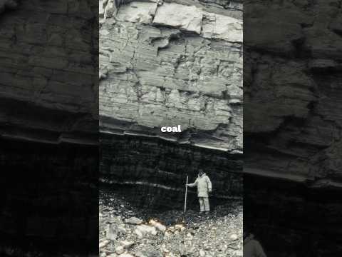 From Forest to Fossil Fuel | Too Cheap to Meter