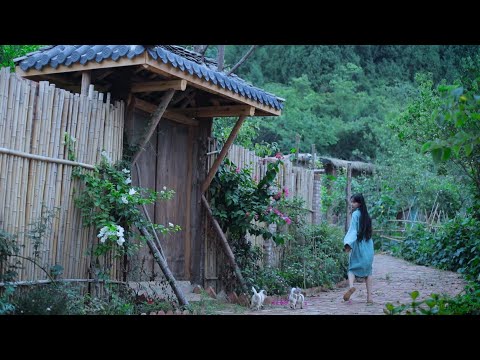 The life of cucumbers黄瓜的一生丨Liziqi Channel