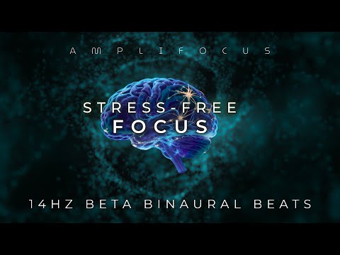 Stress-Free Focus Music | 14Hz Beta Waves for Study & Work
