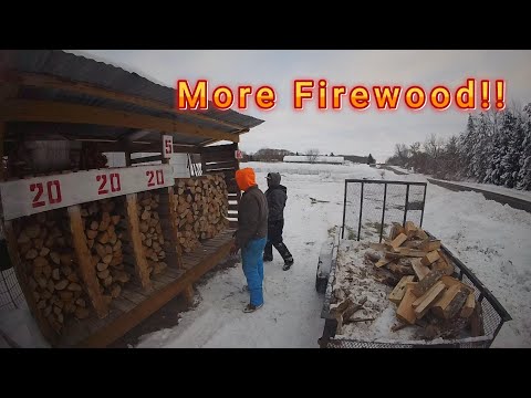 Real Work, Real Progress | A Day in the Woodyard