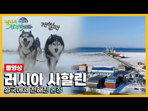 [걸어서세계속으로Full📺] 러시아 극동부에 위치한 얼어붙은 땅 '러시아 사할린' Trip to Russia (KBS 20190216)