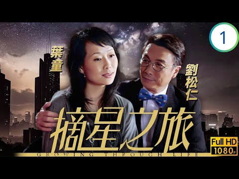 反串女神(葉童)主演 | TVB商戰劇 | 劉松仁(海亮)林峯(海星)叔侄反目 | 劉松仁 | 林峯 | 黃宗澤 | 葉童 | 摘星之旅 01/30 | 粵語中字 | 2010