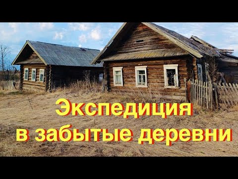 An abandoned village in the Kostroma region. Houses and mansions in the wilderness. Everything is...