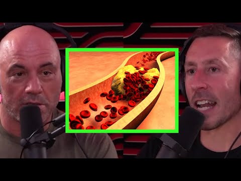 Paul Saladino Talks About The Real Differences Between LDL & HDL Cholesterol