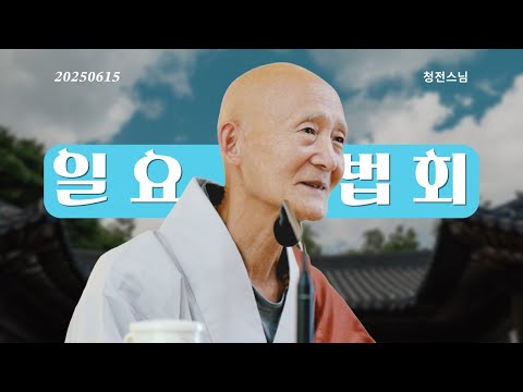 일요법회ㅣ초청법사 청전스님 25.6.15ㅣ길상사