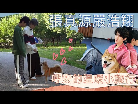 【TNT時代少年團】張哥的小狗竟是浩翔送的？！神仙竹馬與呼安的溫暖小旅行