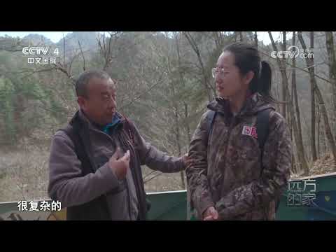 《远方的家》 20231207 山河锦绣看中国 奇山秀水 生物宝库|CCTV中文国际