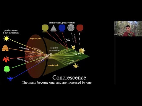 "Whitehead on the Ingression of Novel Form" by Matt Segall