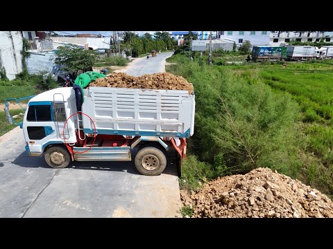 Great Teamwork! Skillful Operation | Leveling Flooded Land with Bulldozer & Dump Trucks