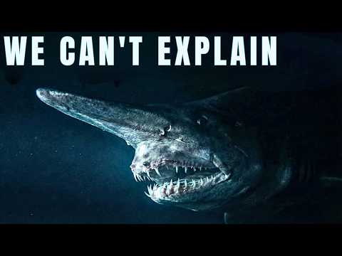 Nothing About the Ghost Shark's Face is Natural: Deep Sea Horror