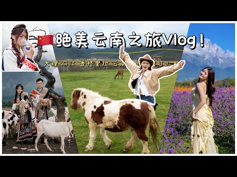 想再回去！绝美的云南之旅 ！大理 丽江 香格里拉 真的太美了！🇨🇳