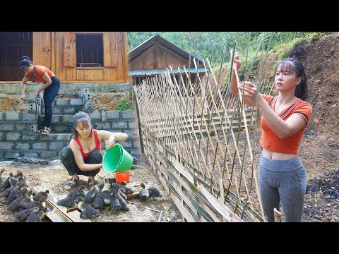 Full Video _188 Days CEO Girl Left the City for the Forest Restore 30 Year Old House, Grow Vegetable