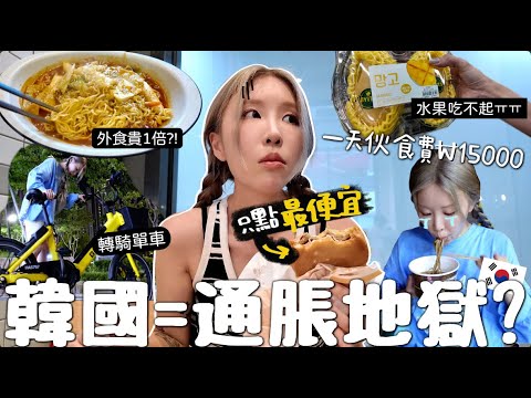 [VLOG] 韓國人「現在就活在地獄..」 ₩15000夠1⽇3餐嗎? 雪梨$50+￼西瓜$100?! 物價飛漲有多誇張... [合作]｜Lizzy Daily
