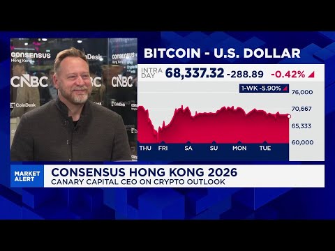 2026 will be 'bear leg' of four-year crypto cycle: Canary Capital