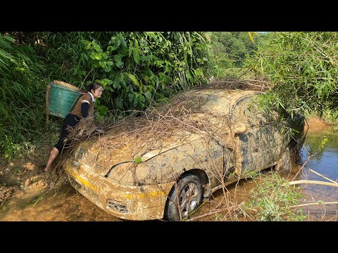 Resurrecting an Abandoned 2003 Daewoo Lanos - Can a 20-Year-Old Car Like This Be Rebooted?