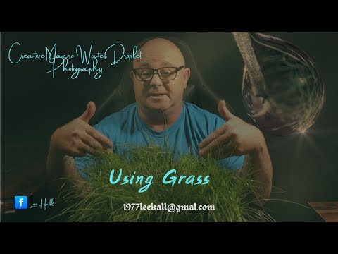 Creative water droplet photography using Grass In Doors.