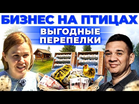 Яйца или мясо? | Сколько приносит птица и как заработать? Марина Алёхина | Андрей Даниленко