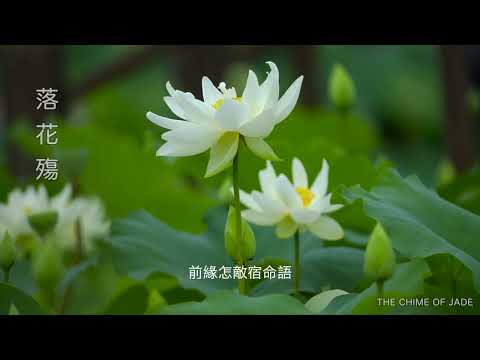 《落花殇》｜男中音版｜深沉独白 · 宿命难渡的前缘｜原创古风歌曲｜Original Chinese Ballad｜【THE CHIME OF JADE】