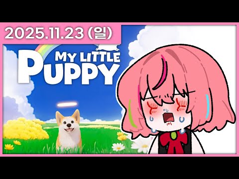 [ 2025/11/23 ] 너무 울어서 눈이 띵띵 부었어요 [마이리틀퍼피] | 나나 다시보기