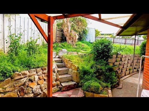 She asked for an ESTIMATE but got a free backyard CLEAN UP!!