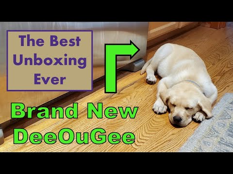 The Best Unboxing Ever