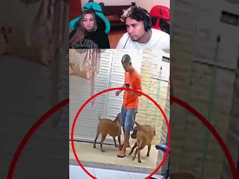 🇲🇽MEXICANO ENTRA A CASA Y PERROS LO ATACAN😮🐶😮
