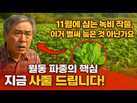 11월에 심는 녹비 작물, 이거 벌써 늦은 거 아닌가요? 월동 파종의 핵심 비결, 지금 밝혀 드립니다!