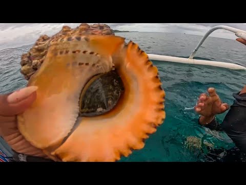 Grabe! Parang Hindi Na Ordinaryo Mga Shells Dito!