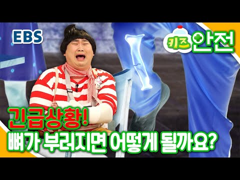 부러지기 쉬운 뼈, 응급처치는 어떻게 해야할까요?ㅣ최고다 호기심딱지, 삐뽀삐뽀! 우리몸x파일