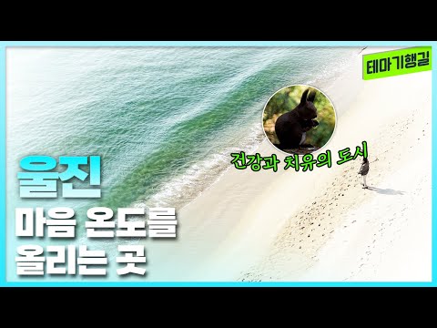 마음 온도를 올리는 곳 | 테마기행길 251219 방송