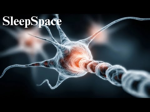 Can Consciousness Exists Without the Body? Your Mind Might Not Need Your Body to Exist