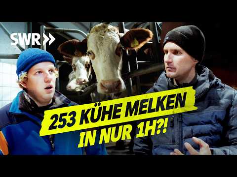 Monatliche Milchkontrolle verkackt?! Fehler auf dem Hof der Schwenks! I SWR Legends of Ländle
