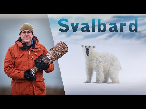 Mind blown by up close wildlife photography encounters in Svalbard!