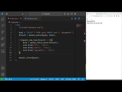 PHP how to query MySQL database