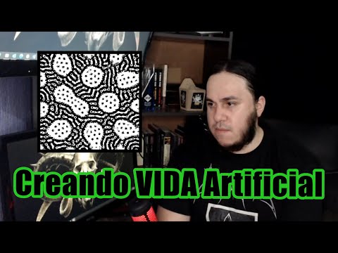 PROGRAMANDO VIDA ARTIFICIAL con JavaScript, Programando Autómatas Celulares 🦠