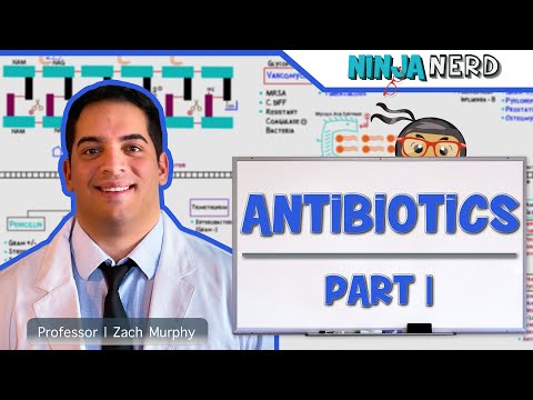 Antibiotics: Cell Wall Synthesis Inhibitors: Part 1