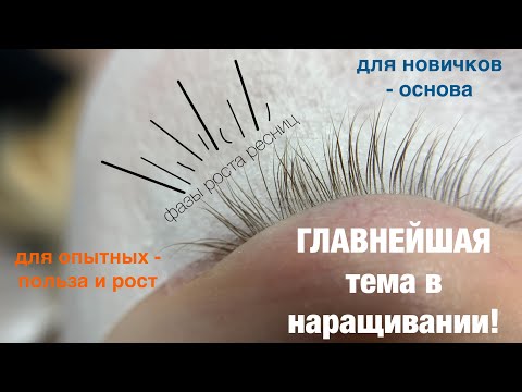 БЕЗ ЭТОГО НИКУДА! Для новичков - основа! Для опытных - польза! Фазы роста ресниц.