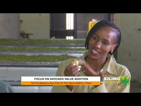 An African solution to avocado oil processing.