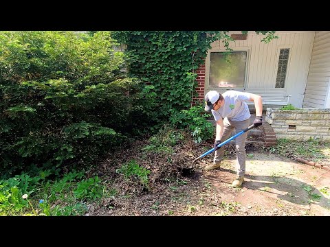 Small town NEEDED my help RESTORING their most overgrown home