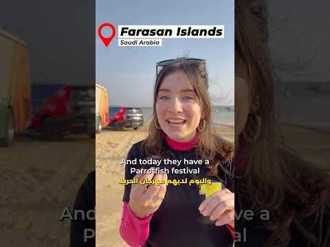 Did you know about this WILD Festival in Saudi Arabia? 🇸🇦 #saudiarabia #middleeast #ksa #السعودية