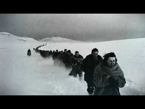 "My Feet Are Bleeding" — German Woman POW Carried Miles by Texas Rancher in the Snow
