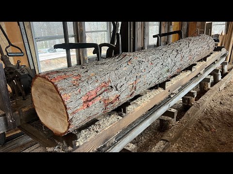 Hateful Hemlock Again! 