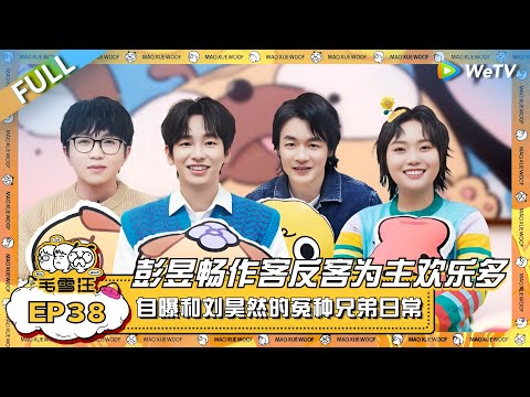 彭昱畅作客“反客为主”欢乐多！自曝和刘昊然的冤种兄弟的日常？孟子义在线追星张嘉佳！ |《毛雪汪》EP38 FULL #综艺 #彭昱畅 #张嘉佳 #李雪琴 #毛不易