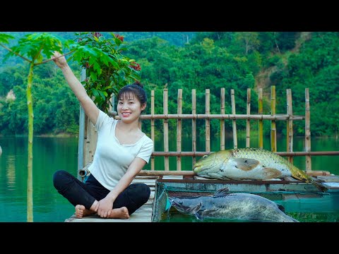 Top Fishing Moments 2024: Solo Life on a Floating Home in an 8,000-Hectare Lake